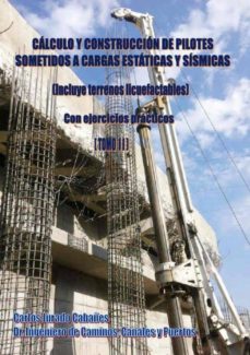Calculo Y Construccion De Pilotes Sometidos A Cargas Estaticas Y Sismicas (Incluye Terrenos Licuefactables)- Tomo Ii